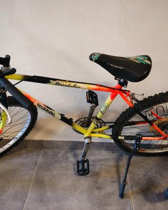 mountain bike trubbiani 