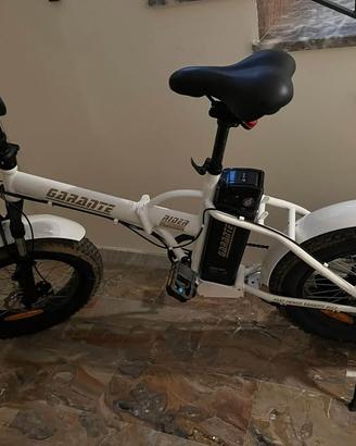 Bicicletta elettrica