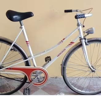 Bici da donna