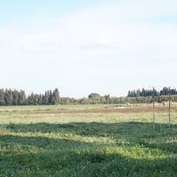 San Sperate terreno agricolo 29.900 mq