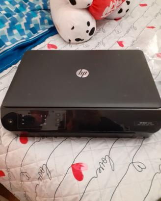 stampante  hp