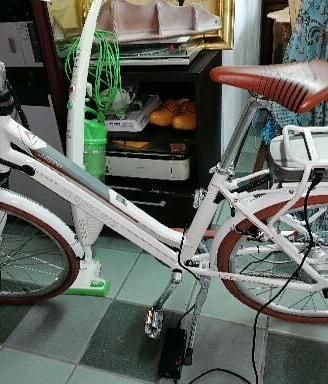 Bici Elettrica Latina Harmony