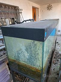 acquario con supporto
