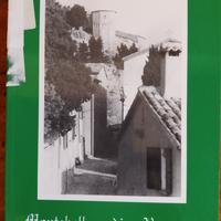 libro di storia locale 