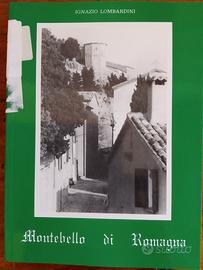 libro di storia locale 