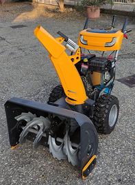 Spazzaneve Briggs & Stratton