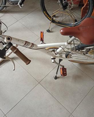 Mountain bike bambini 