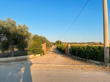 Terreno agricolo +casa