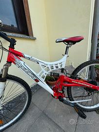Bici mtb
