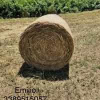 Balloni erba medica mista da 120