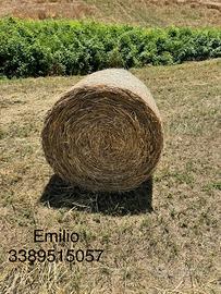 Balloni erba medica mista da 120