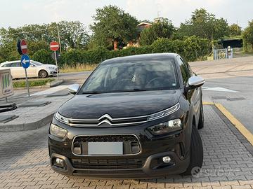 C4 cactus In buono stato