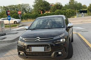 C4 cactus In buono stato