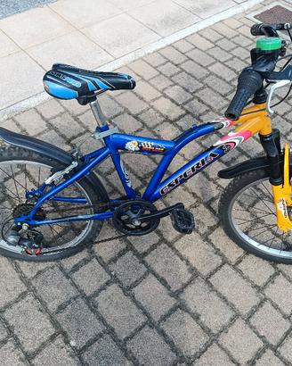 Mountain bike Esperia modello Jumper