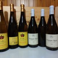 Lotto vino bianco Borgogna e Collio