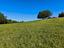 Immagine 24