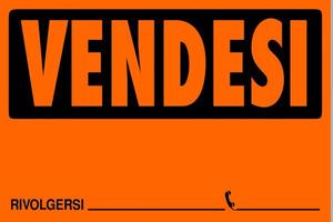 MESTRE due camere LIBERO