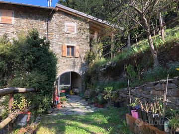 Lake Como - stone house and apartment , with land