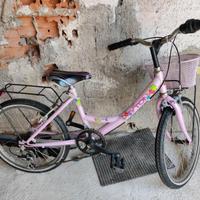 Bicicletta