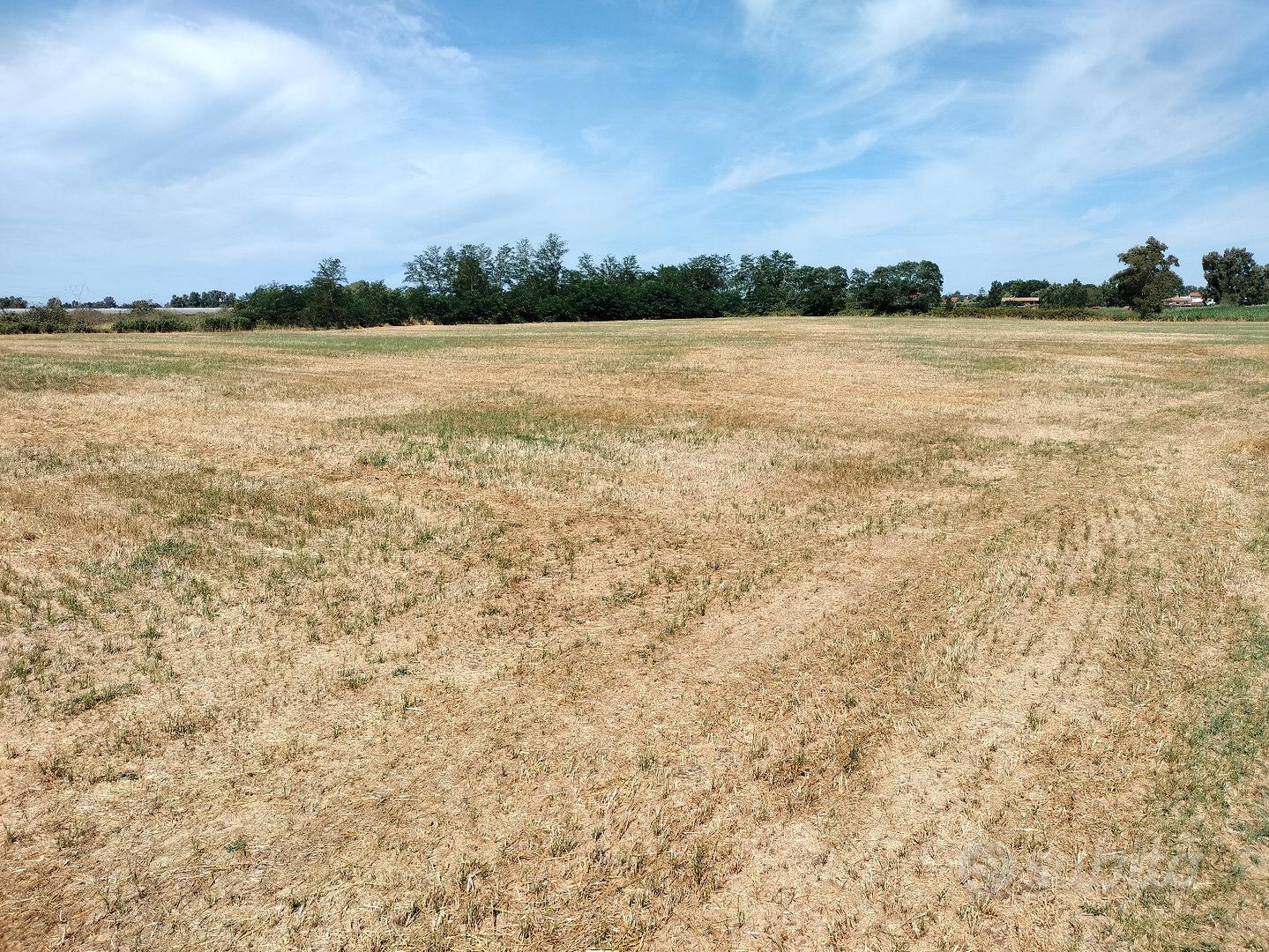 Terreno agricolo - Vista 2