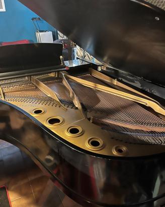 Pianoforte Bluthner mezzacoda - prezzo trattabile