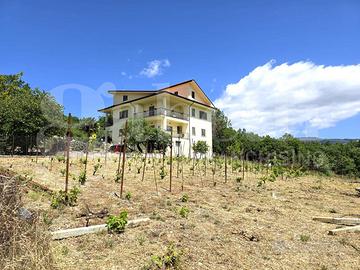 Villa o villino Isernia [FZ CVCDNMVRG]