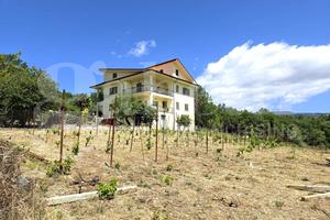 Villa o villino Isernia [FZ CVCDNMVRG]