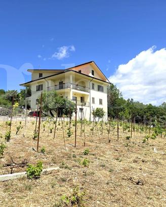 Villa o villino Isernia [FZ CVCDNMVRG]