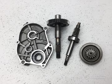 MALAGUTI F12 R PHANTOM LC 50 CARTER E INGRANAGGI R