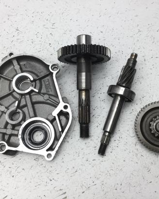 MALAGUTI F12 R PHANTOM LC 50 CARTER E INGRANAGGI R