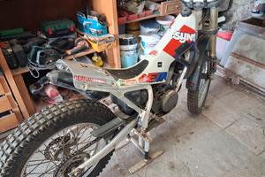 trial beta sjnt 260