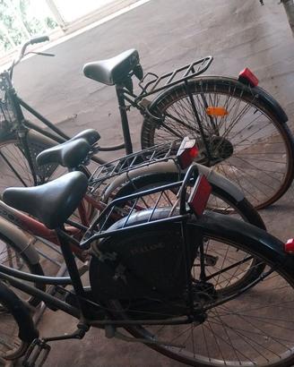 Bicicletta donna e ragazza