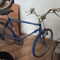 Bicicletta uomo