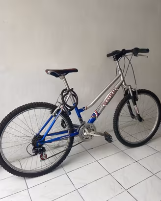 Mountain bike 26 pollici