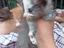 Immagine 5
