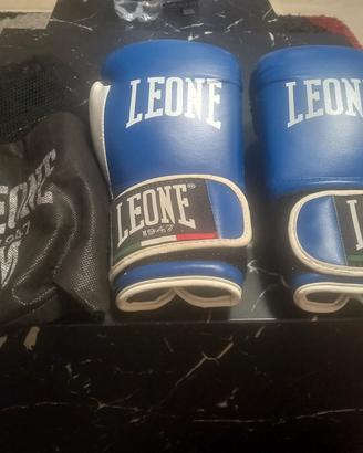 guantoni boxe Leone 1947