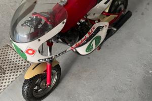 Moto Cimatti mini gran Prix