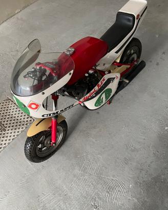 Moto Cimatti mini gran Prix