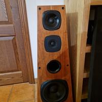 diffusori ciare hi end 