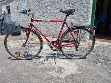 Bicicletta Vintage Sedazzari