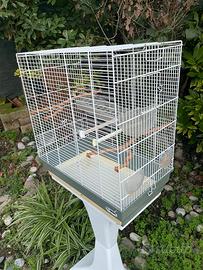 Gabbia uccelli