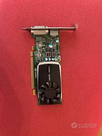 Scheda video Nvidia Quadro 600