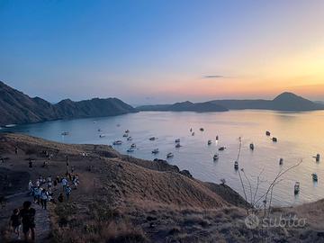 Direttore tecnico agenzia viaggi e tour operator