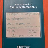 libro di esercitazioni di analisi matematica 1