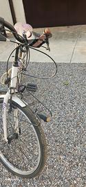 bici ragazza