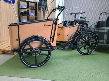 Cargo Bike Sun pedalata assistita USATA