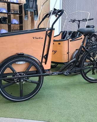 Cargo Bike Sun pedalata assistita USATA