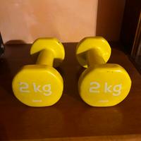 Manubri 2kg Palestra