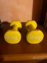 Manubri 2kg Palestra