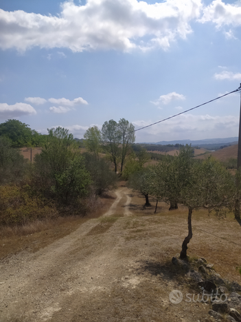 Pianella Terreno agricolo panoramico